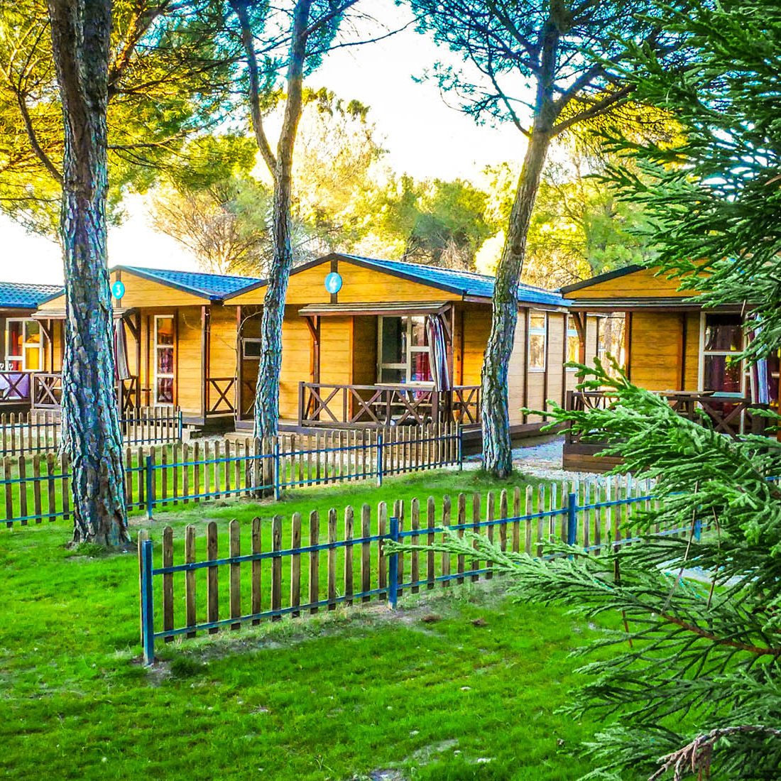 camping en valladolid, camping ribera del duero, spain, bungalows, carro viejo, reserva online, ribera del duero, peñafiel