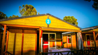 bungalows, valladolid, camping, ribera del duero, visitar bodegas, alojamiento