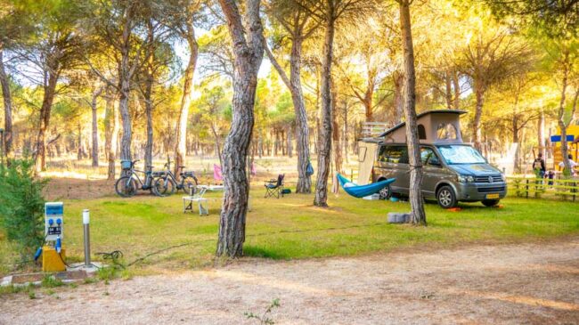 camping pitch, caravan, camping, peñafiel, spain, valladolid, ribera del duero, holiday