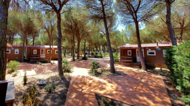 alojamiento en ribera del duero, fuentidueña, camping