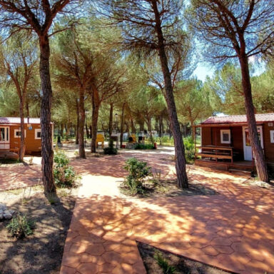 alojamiento en ribera del duero, fuentidueña, camping